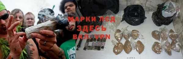 ALPHA PVP Алзамай