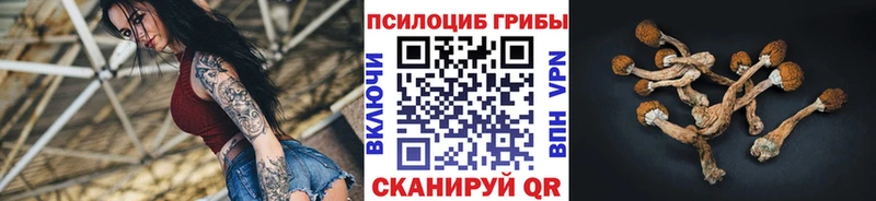 где купить   Алупка  Галлюциногенные грибы прущие грибы 