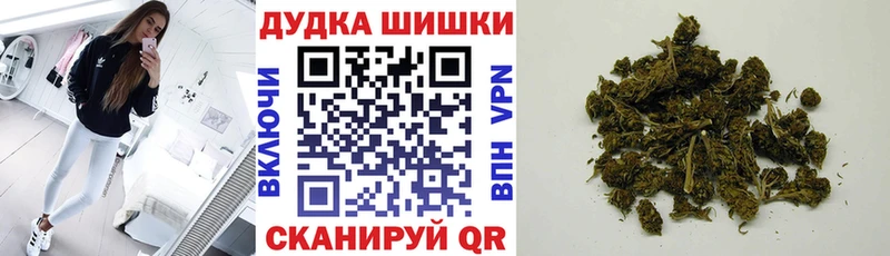 МАРИХУАНА план  где найти наркотики  Алупка 